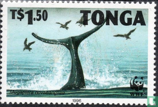 WWF-Humpback Whale