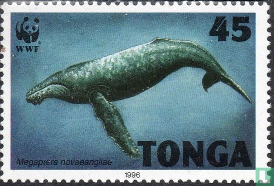 WWF-Humpback Whale
