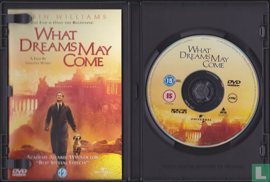 What Dreams May Come - Image 3
