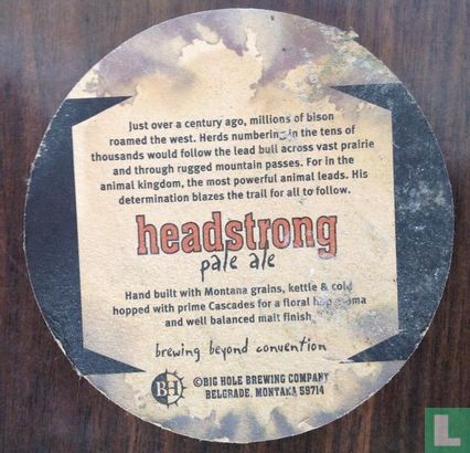 Headstrong Pale Ale - Afbeelding 2