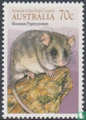 Animals of the high mountains