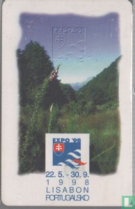 Expo 98 - Bild 1