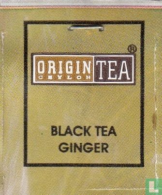 Ginger - Image 3