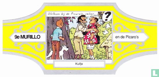 Tintin et les Picaros 9ème - Image 1