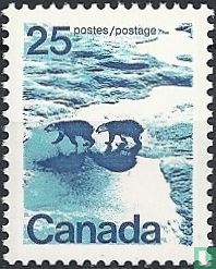 Ours polaires dans le nord du Canada