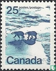 Eisbären im Norden Kanadas