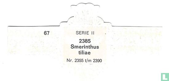 Smerinthus tiliae - Afbeelding 2
