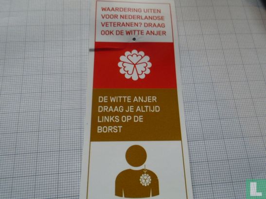 Witte Anjer - Afbeelding 2