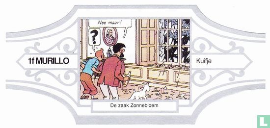 Tintin L'affaire Tournesol 1f - Image 1