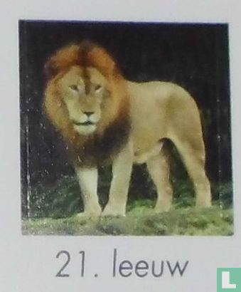 21. Leeuw