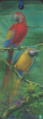 3D - Papegaaien - Parrots - Image 1