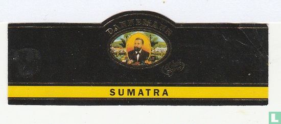 Dannemann El Noble Cigarro - Sumatra - Image 1