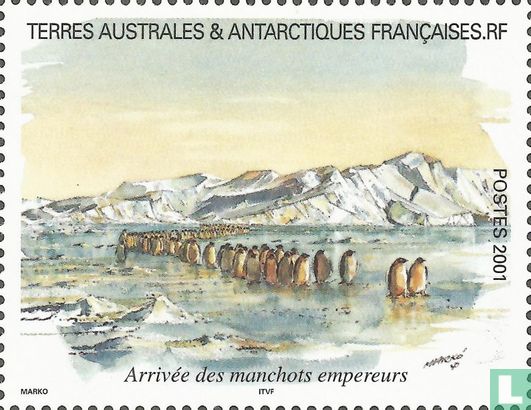Arrival of Emperor Penguins - Image 1