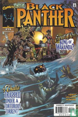 Black Panther 14 - Afbeelding 1
