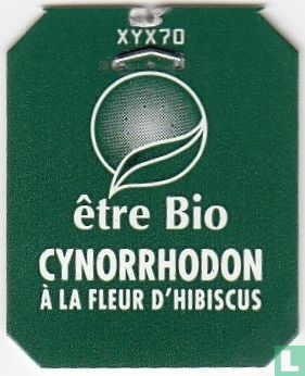Cynorrhodon à la Fleur D'Hibiscus - Image 3