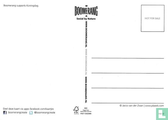 B120052 - Boomerang supports Koningdag "ALEX" - Image 2
