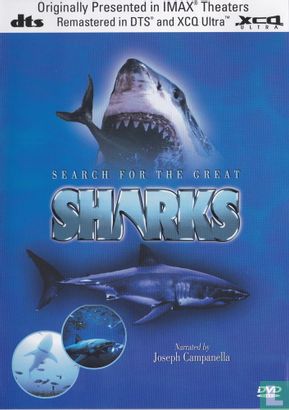 Search for the Great Sharks - Bild 1