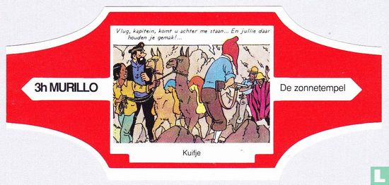 Tintin Der Sonnentempel 3h - Bild 1