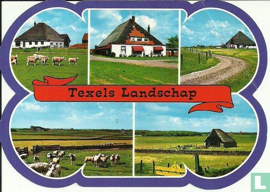 Texels landschap 