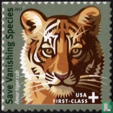 Amur tiger