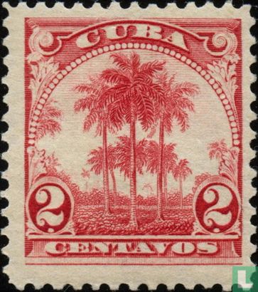 Palmier royal de Cuba