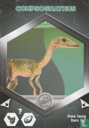Compsognathus - Afbeelding 1