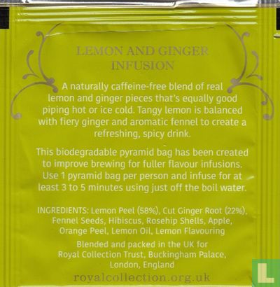 Lemon and Ginger Infusion   - Afbeelding 2