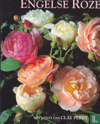 Engelse rozen - Bild 1
