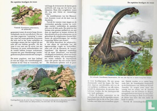 Prehistorische dieren - Image 3