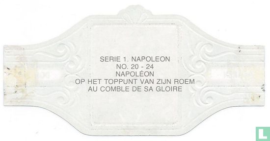 Napoléon - op het toppunt van zijn roem - Afbeelding 2