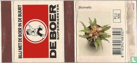 De Boer - Bromelia