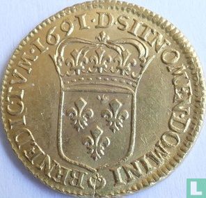 Frankrijk 1 louis d'or 1691 (D) - Afbeelding 1