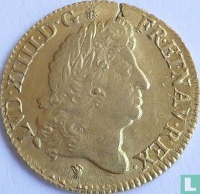 Frankrijk 1 louis d'or 1691 (D) - Afbeelding 2