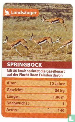 Springbock - Afbeelding 1