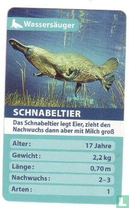 Schnabeltier - Afbeelding 1