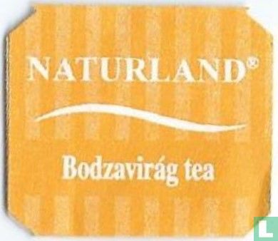 Bodzavirág tea - Afbeelding 1