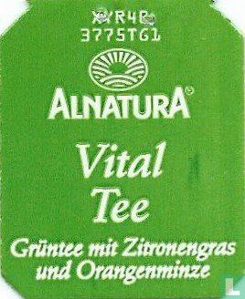 Vital Tee Grüntee mit Zitronengras und Orangenminze - Afbeelding 2