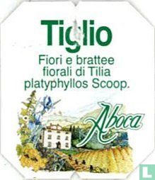 Tiglio Fiori e brattee fiorali di Tilia platyphyllos Scoop - Afbeelding 1