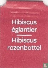 Hibiscus églantier Hibiscus rozenbottel - Afbeelding 1