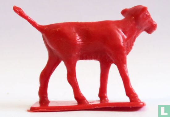 Kalb - Bild 1
