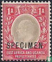 King Edward VII, with overprint "SPECIMEN"
