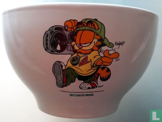 Garfield - Bild 1