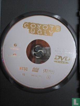 Coyote Ugly - Afbeelding 3