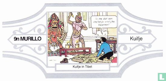 Tintin in Tibet 9n - Image 1