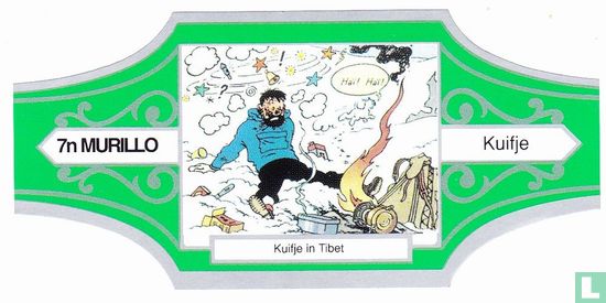 Tintin in Tibet 7n - Image 1