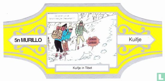 Tintin in Tibet 5n - Image 1
