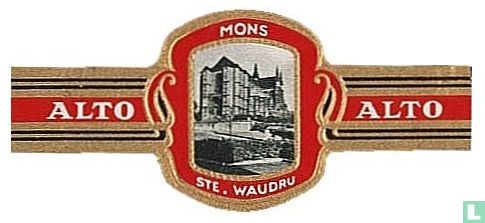 Mons - Ste. Waudru - Afbeelding 1