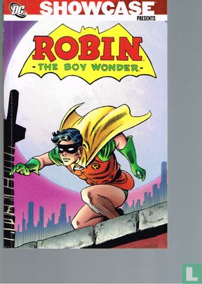 Robin the boy wonder - Image 1