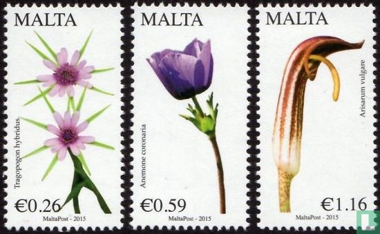 Flore maltaises