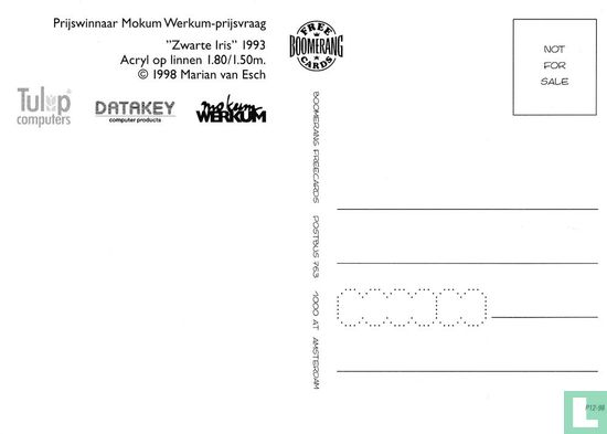 B002365 - Mokum Werkum - Zwarte Iris - Afbeelding 2